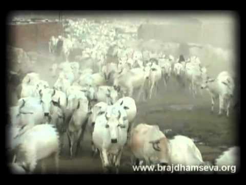 See video