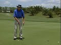 Trucos para bajar handicap 7 de 8 David Leadbetter