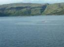 Island of Mull Speedboat