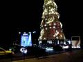 videos de L'albero di Natale più alto d'Europa