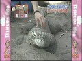 Aiba Masaki TSD 080207 Part 1