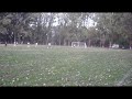 IGRIS - LEGIUNEA - VIDEO 02