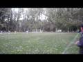 IGRIS - LEGIUNEA - VIDEO 02