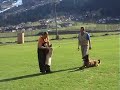 hundesport dreamteam hundesport dreamteam