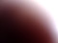 5asax-Saxophone-Quin