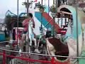 NY State Fair venitian carousel