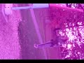 Falling from the sky!