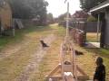 videos de Pool Ball Trebuchet Launch