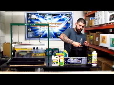 how to transplant clones from rockwool to soil