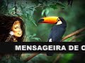 Jurema