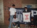 PALOMO SUR PALOMO SUR