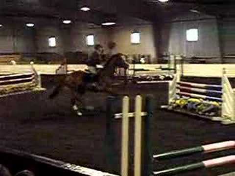 Chestnut horse jumping.  Refusal