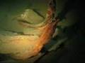 Historical shipwreck in lake Mjøsa