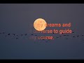 Live the Life you Love - Transformation Movie - Best Quality
