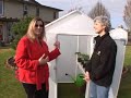 Mini-greenhouse Gardenpalooza Mini-greenhouse Gardenpalooza