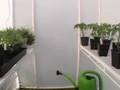 Mini-greenhouse Gardenpalooza