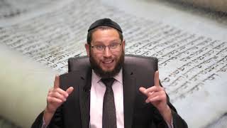 הרב אייל אונגר – אמת, קנאות, עצלות ומה שביניהם (לפרשת פינחס)