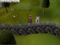 videos de Runescape - Dradel Dradel Dradel
