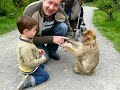 2008-05-22 Affen- & Vogelpark Eckenhagen