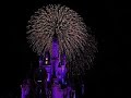 disney world fireworks