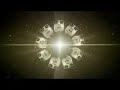 Search Video