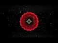 Search Video