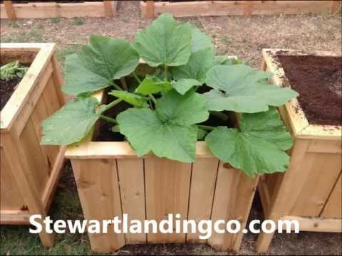 how to fertilize garden organically