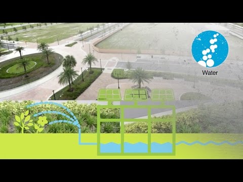 Green Infrastructure & Stormwater Management in Tampa's Encore District Video Thumbnail