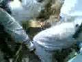 videos de diky birthday