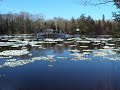 Ice gently flowing down a river