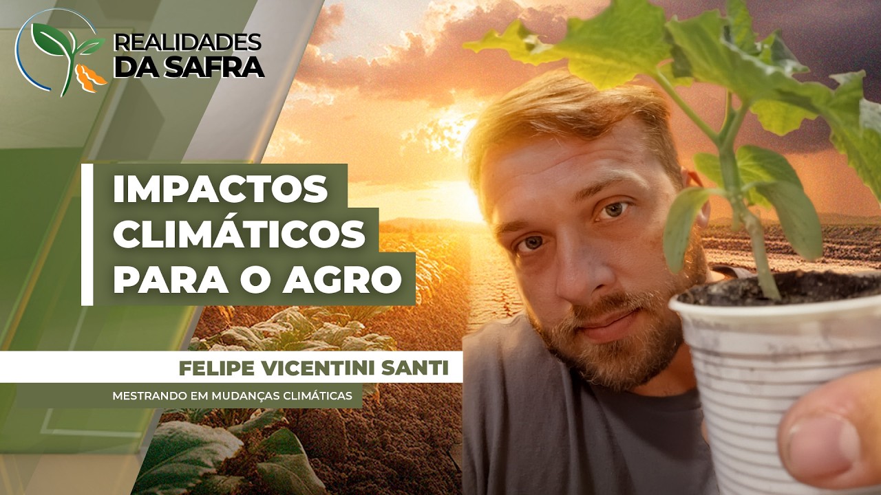 Eventos climáticos intensos estão mais frequentes e ano de El Niño acende alerta para o agro
