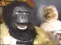 Rock-Afire Explosion - Faith (Cyberstar) Rock-Afire Explosion - Faith (Cyberstar)