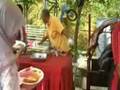videos de cite raya 08 (3)