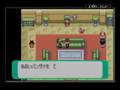 PokemonGBA -Perfect PokeBlock-