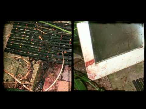 Forensic Investigators - Kathleen Marshall Part 1 HD