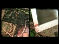 Forensic Investigators - Kathleen Marshall Part 1 HD