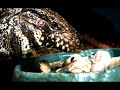 Owning & Caring for Tegu Lizards : Feeding Large Lizards Owning & Caring for Tegu Lizards : Feeding Large Lizards