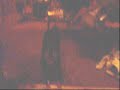 かわいい犬動画