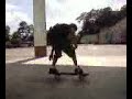 manual on ripstick