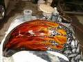 Custom Airbrushing - Skulls, flames, real fire, true fire