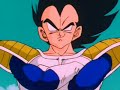 DragonBall Z Vegeta-In The End