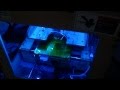 MakerBot TOM, Functional design: Light color for status
