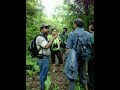 Call of jungle awlet and mimic by Adeshdada
