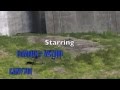 videos de Halo 3 Top 10 Best Tea Bags in Halo 3 By Happy Glitchers HG