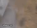 ataque de tigre inesperado