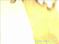 Video of Rabin's murder as never seen before
