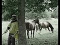 D-light music Video