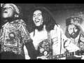 Bob-Marley-and-Ziggy