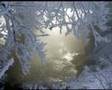 Rauball sings Tchaikovsky's None But The Lonely Heart