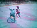 NHL - The Fake NHL - The Fake